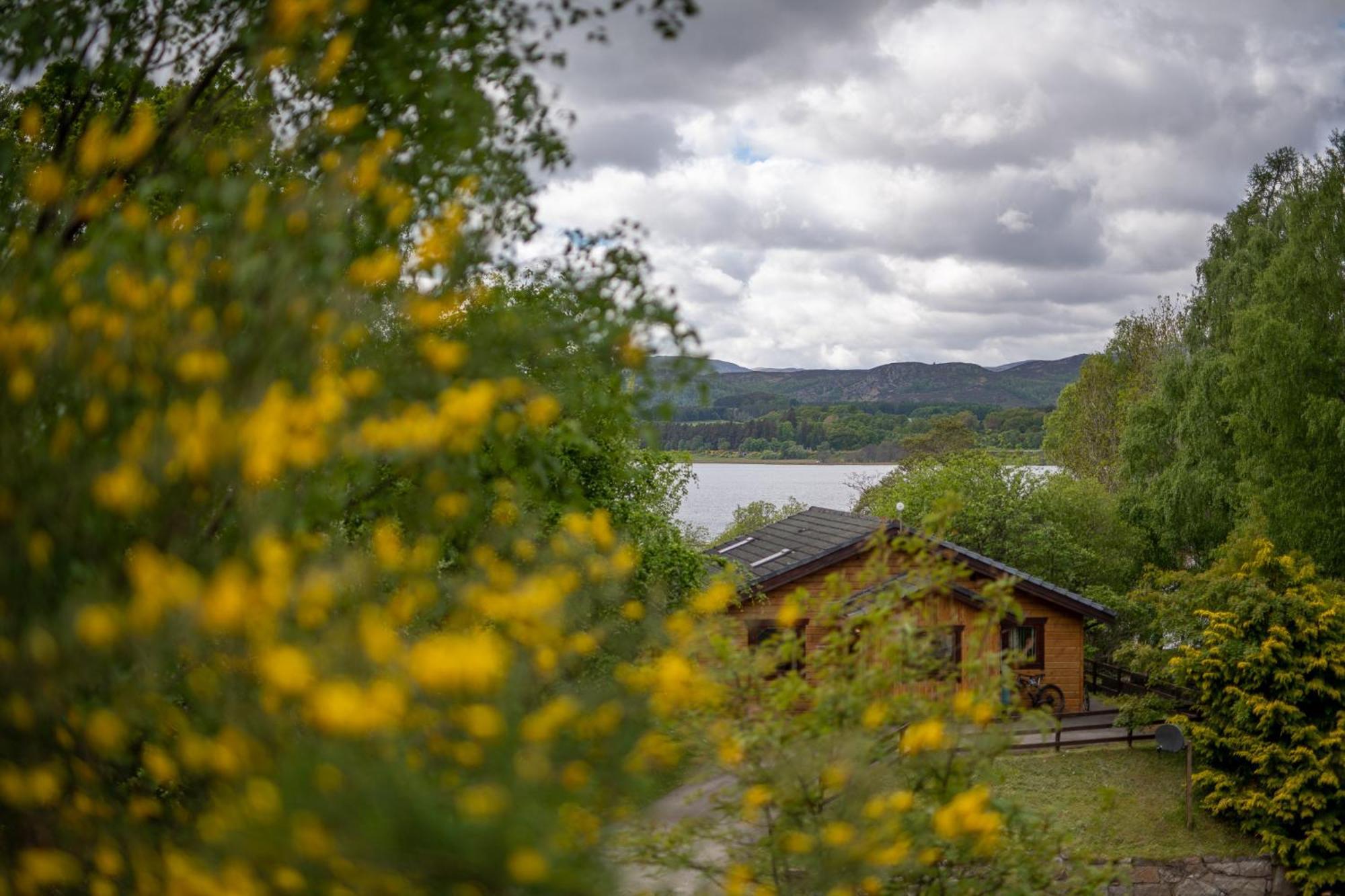 Loch Insh Chalets Ltd Kincraig Eksteriør bilde